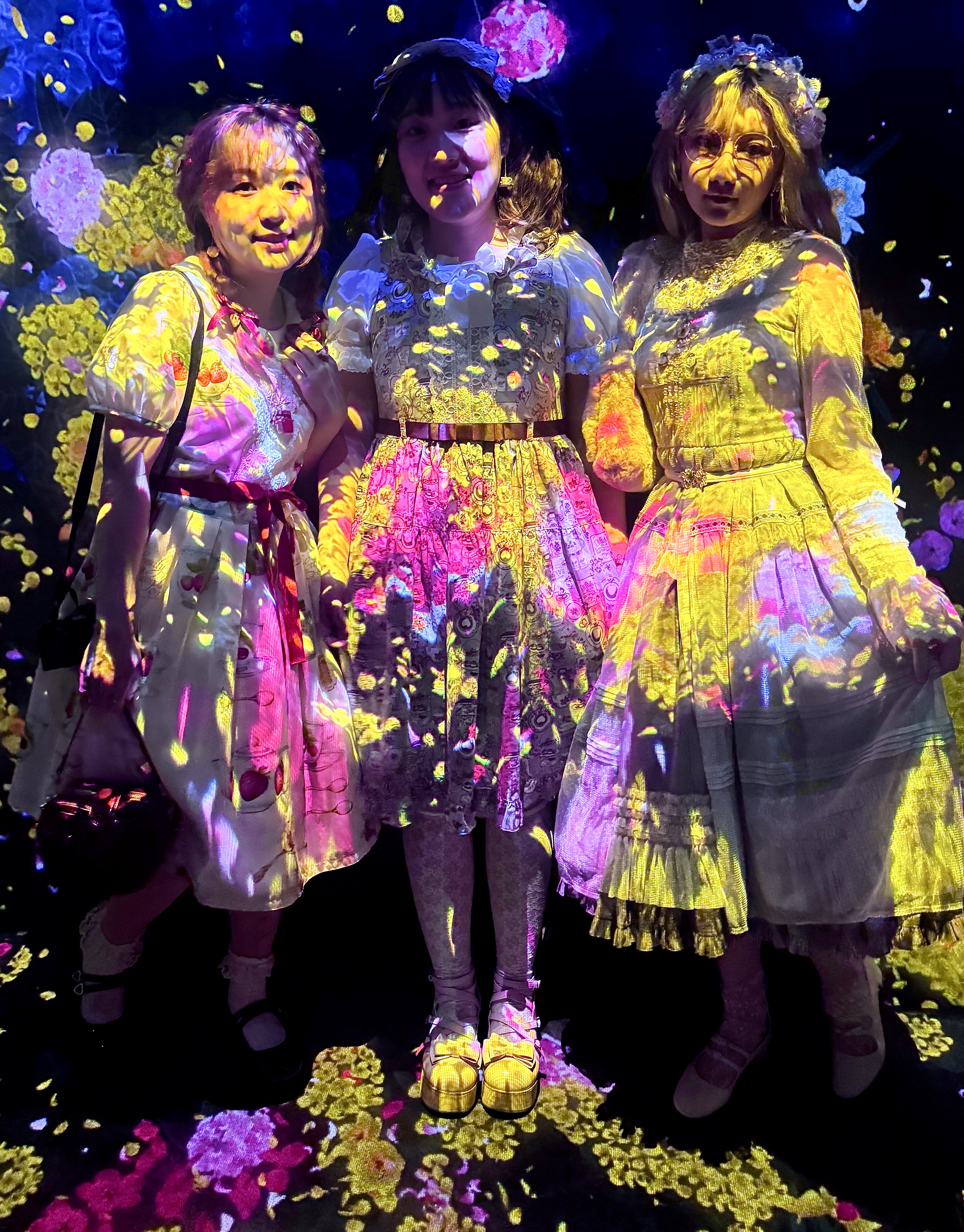 TEAMLAB BORDERLESS | Know Tokyo