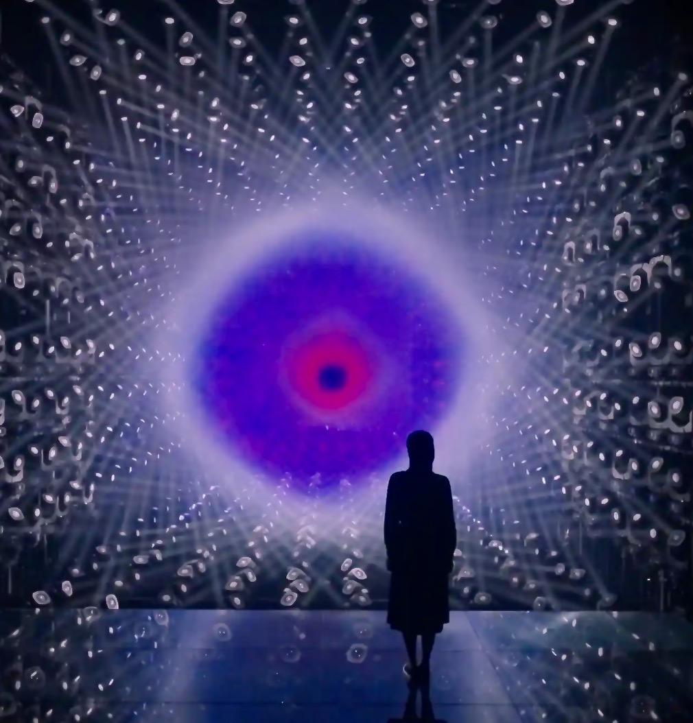 TEAMLAB BORDERLESS | Know Tokyo